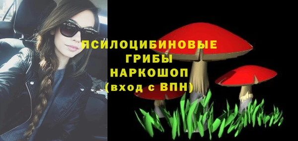 PSILOCYBIN Балабаново