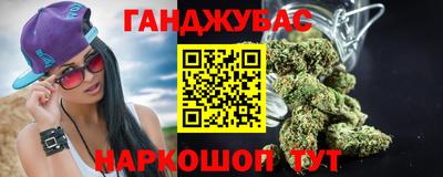 гашик Гай