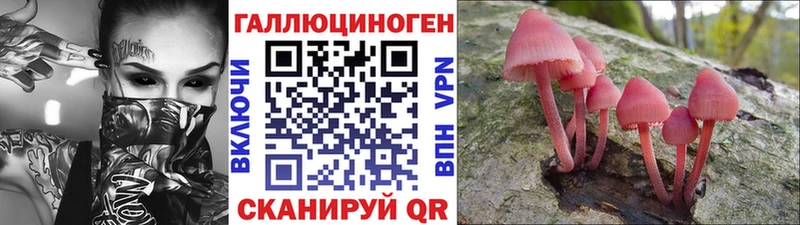 mega как зайти дарнет шоп Гулькевичи Галлюциногенные грибы мухоморы