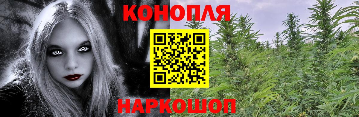 Марихуана сатива Гулькевичи